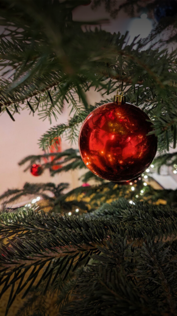 Rote Weihnachtskugel hängt am Ast eines Weihnachtsbaums.