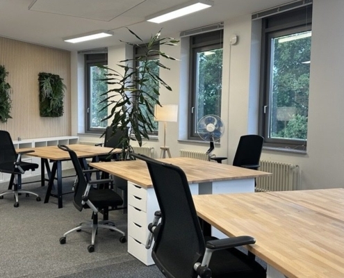 Modernes, möbliertes Teambüro bei raumzeit in Hannover mit mehreren Arbeitsplätzen, großen Fenstern und Pflanzen.