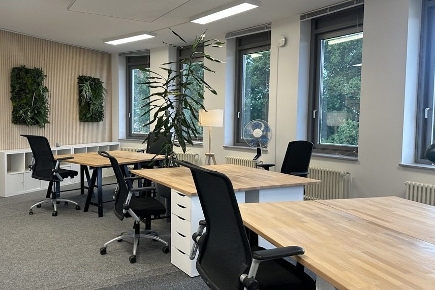 Modernes, möbliertes Teambüro bei raumzeit in Hannover mit mehreren Arbeitsplätzen, großen Fenstern und Pflanzen.
